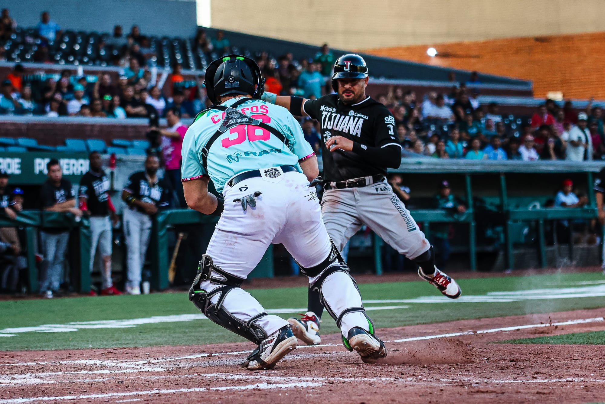 SARAPEROS Y TOROS DIVIDEN HONORES EN LA DOBLE CARTELERA