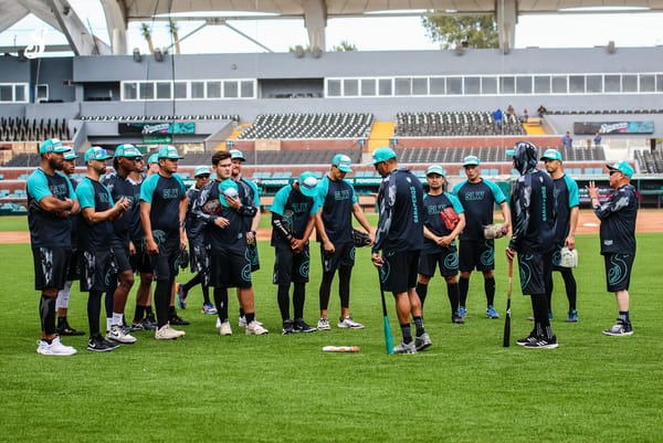 SARAPEROS INTENSIFICA PREPARACIÓN; WILMER FONT DESTACA AMBIENTE COMPETITIVO EN EL SPRING TRAINING